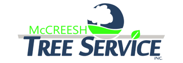 Professional tree care services in Bucks, Montgomery & Philly, doing what it takes for 100% satisfaction!